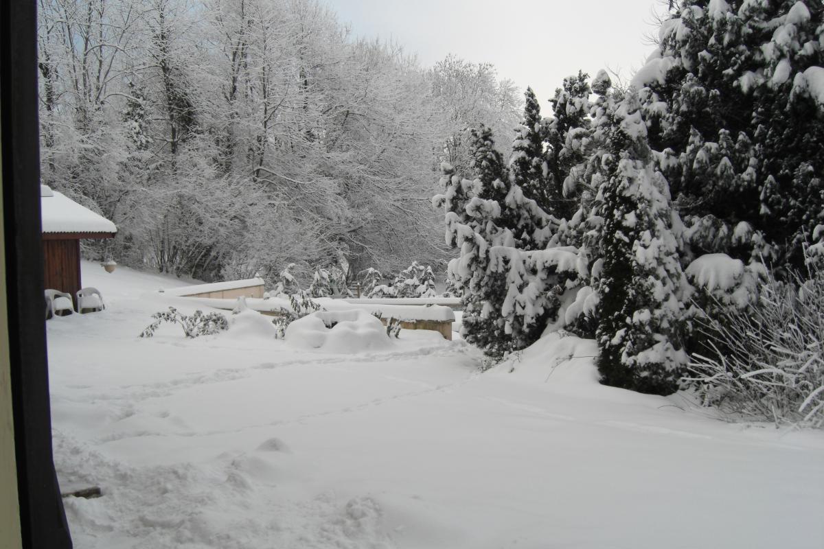 jardin sous la neige
