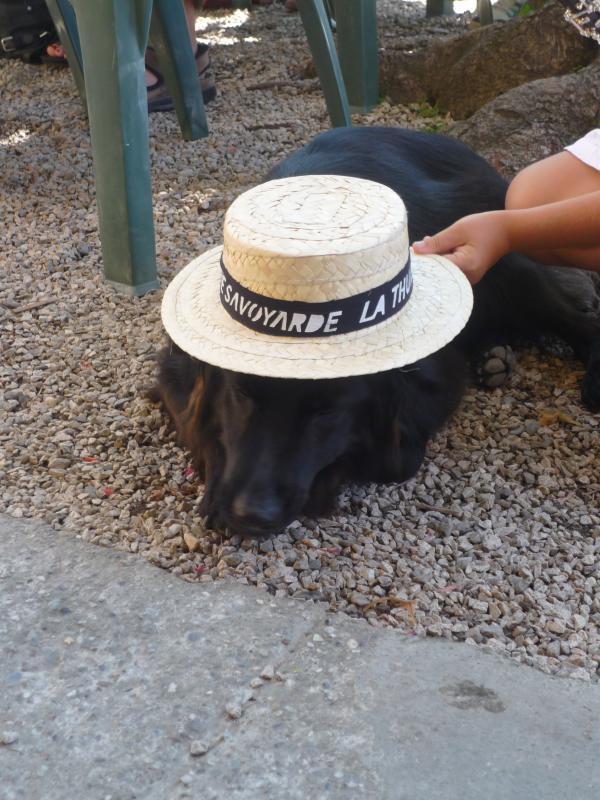 m&ecirc;me les chiens sont m&eacute;lomanes &agrave; la Thuile 