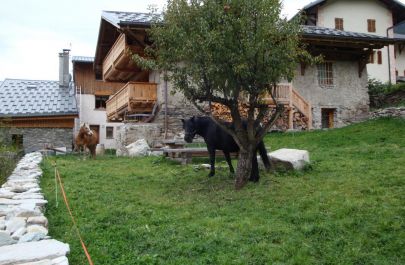 G&icirc;te n&deg;73G71235 CHAMPAGNY EN VANOISE - Savoie - photo