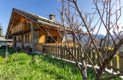 G&icirc;te n&deg;73G15253 LES ALLUES - Savoie - photo