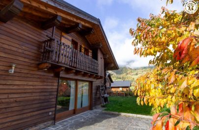 G&icirc;te n&deg;73G34609 BEAUFORT - Savoie - vue ext&eacute;rieur terrasse et pelouse privatif