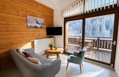 G&icirc;te n&deg;73G123241 LA GIETTAZ - Savoie - photo