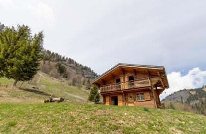 G&icirc;te n&deg;73G123192 LA GIETTAZ - Savoie - photo
