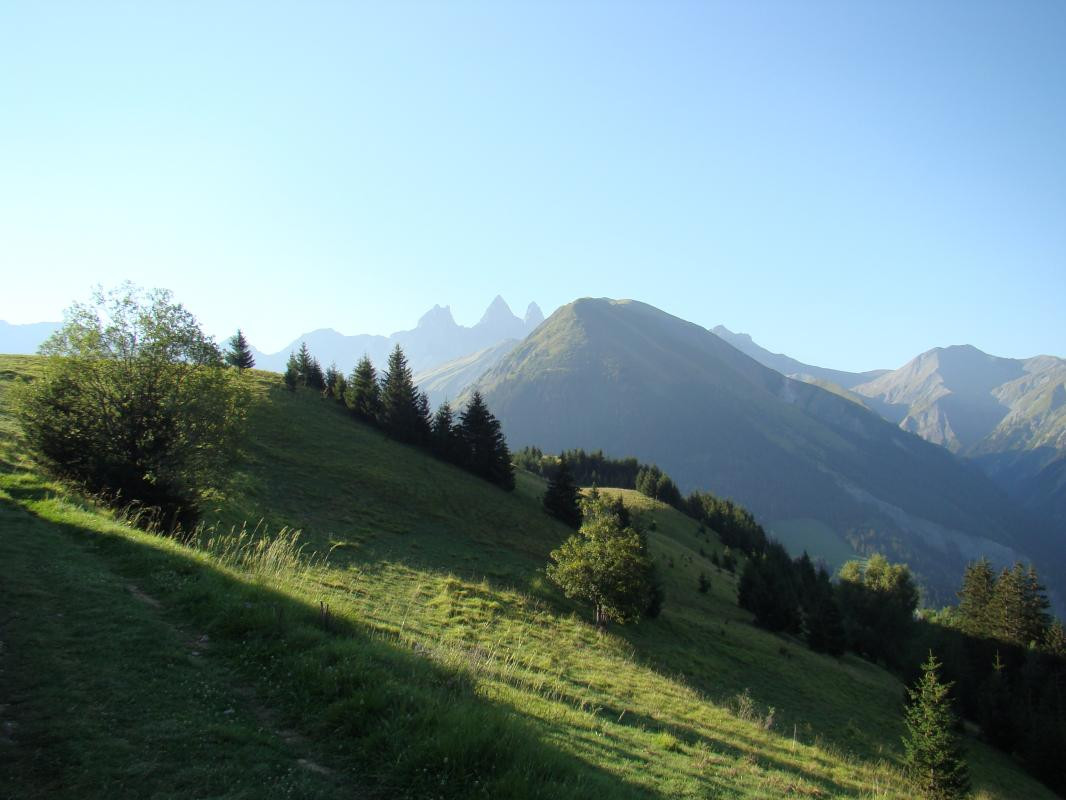 photo 39