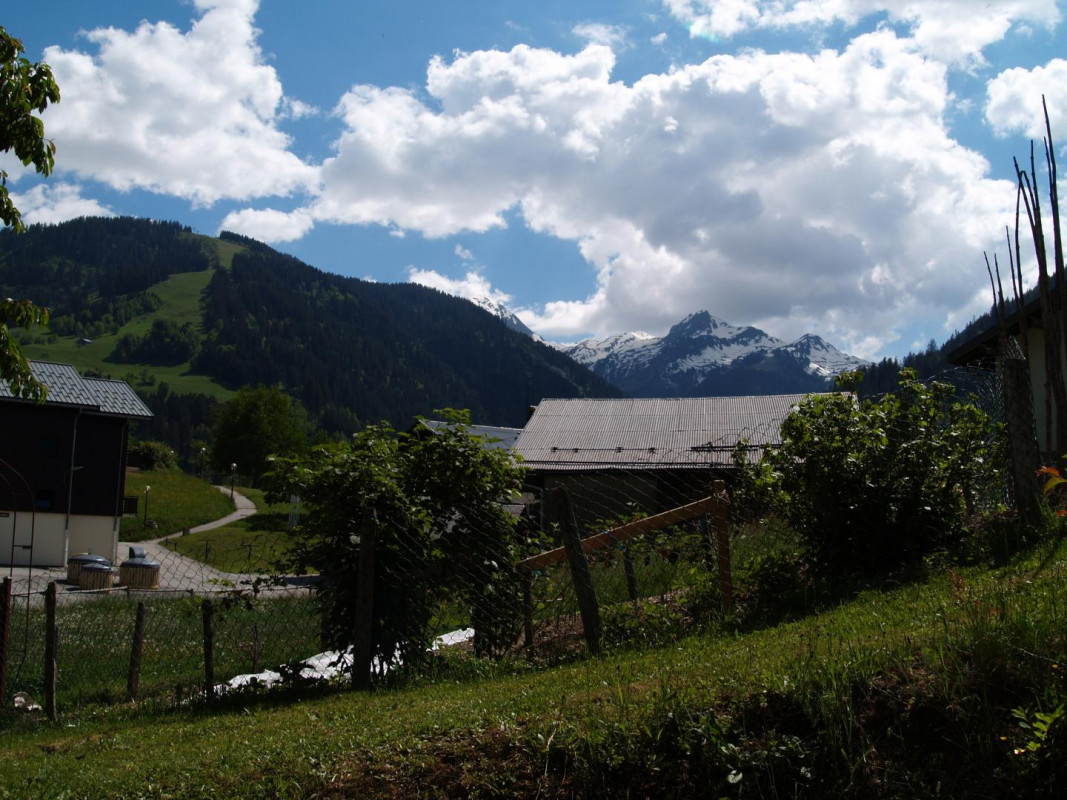 photo 40
