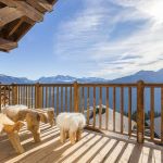 gite - La Perle Des Alpes - VILLARD SUR DORON LES SAISIES - Savoie