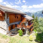 gite - Chalet de l'Arb&eacute; 2 - N&deg;6 - LA PLAGNE TARENTAISE - Savoie