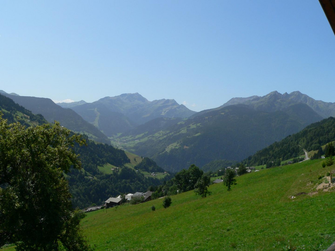 photo 44