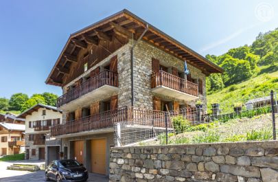 G&icirc;te n&deg;73G257129 LES BELLEVILLE - Savoie - photo