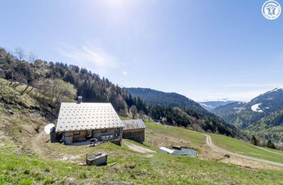 Chalet d'alpage73G123553 LA GIETTAZ - Savoie - photo