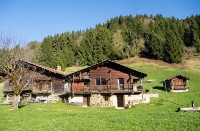 Chalet d'alpage73G34285 BEAUFORT ARECHES - Savoie - photo