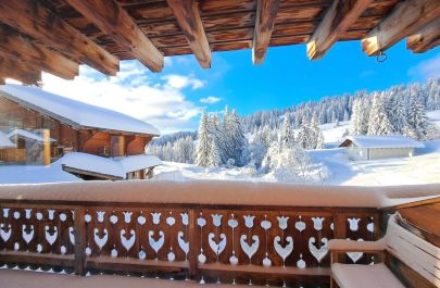 G&icirc;te n&deg;73G132349 HAUTELUCE LES SAISIES - Savoie - vue ext&eacute;rieur &eacute;t&eacute;