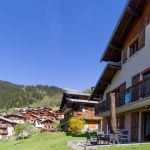 gite - G&icirc;te - CHAMPAGNY EN VANOISE - Savoie