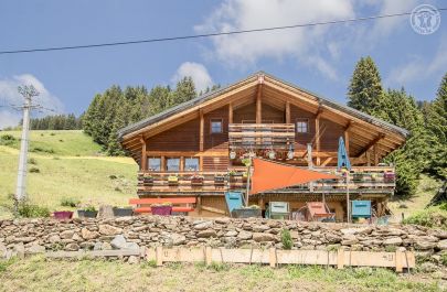 G&icirc;te n&deg;73G317136 VILLARD SUR DORON - Savoie - photo