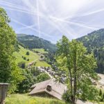 gite - Le Chalet Du Frene - LA GIETTAZ - Savoie