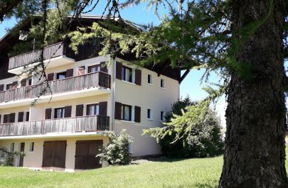 G&icirc;te n&deg;73G88118 COHENNOZ-CREST-VOLAND - Savoie - Chalet le M&eacute;l&egrave;ze - LE CERNIX - Espace vert autour du chalet