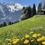 gite - Le Petit Erable - Vue Mont Blanc - VILLARD SUR DORON - Savoie