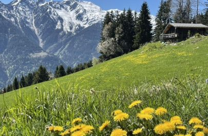 G&icirc;te n&deg;73G317141 VILLARD SUR DORON - Savoie - photo